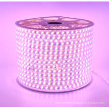 100m/roll waterproof led 220v strip lights